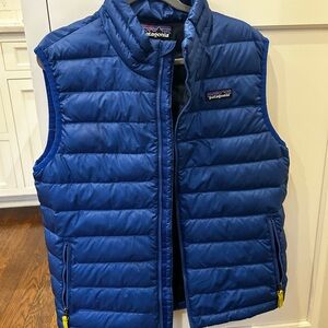 Patagonia Royal Blue Down Puffer Vest